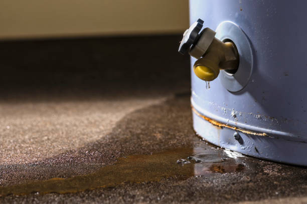 Best Emergency water extraction  in Guadalupe, AZ