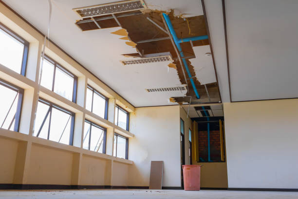 Trusted Guadalupe, AZ Water damage restoration Experts