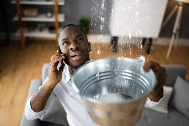 Carpet water damage restoration in Guadalupe, AZ