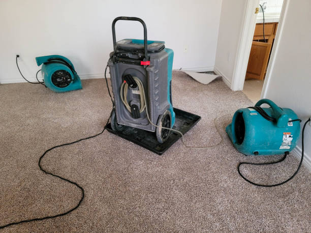 Trusted Guadalupe, AZ Water damage restoration Experts