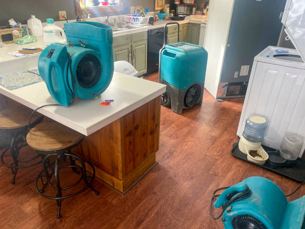 Best Water damage cleanup near me  in Guadalupe, AZ
