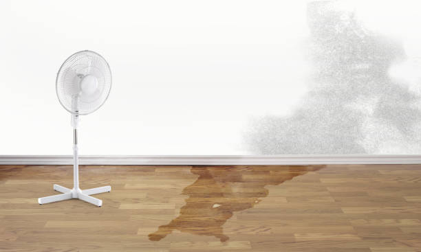 Best Water damage repair service  in Guadalupe, AZ