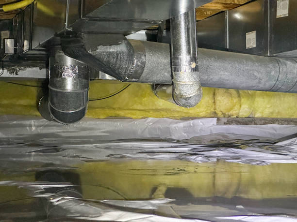 Best Flood damage cleanup  in Guadalupe, AZ