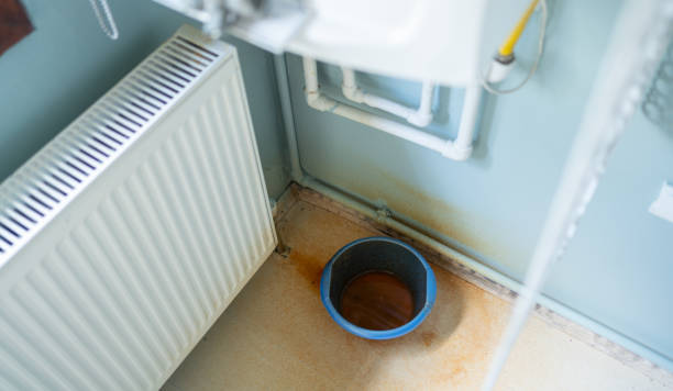 Best Commercial water damage restoration  in Guadalupe, AZ