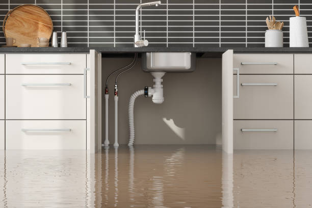 Best Fire Damage Restoration  in Guadalupe, AZ