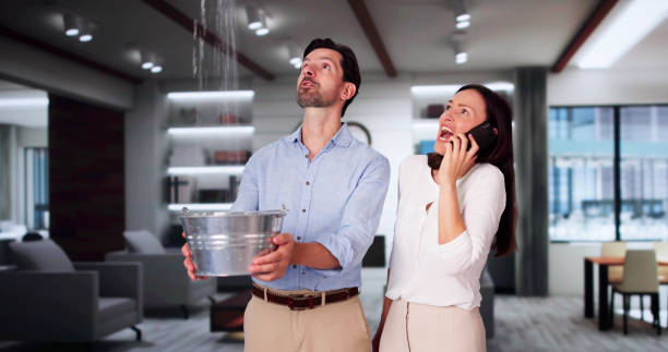  Guadalupe, AZ Water damage restoration Pros