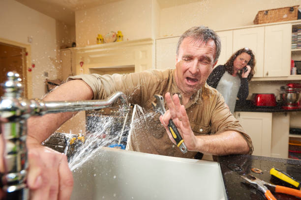 Best Flooded house restoration  in Guadalupe, AZ